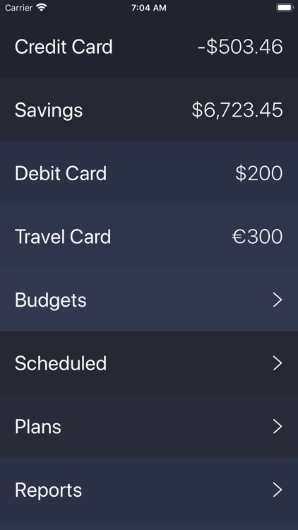 Debit & Credit screenshot-0