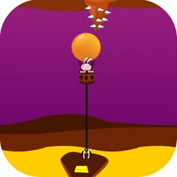 Hot Air Balloon-Advanture