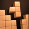 Wood Puzzle 3D