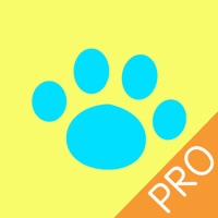 抓图精灵Pro-网页图片批量下载 pour PC