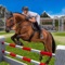 It is an exciting game especially designed for horse jumping &racing lovers