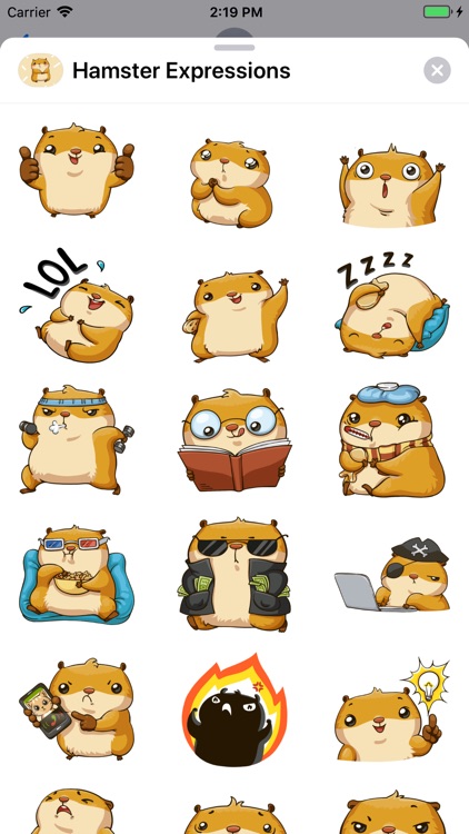 Hamster Expressions