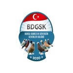 Bursa Damızlık Güvercin Kulübü