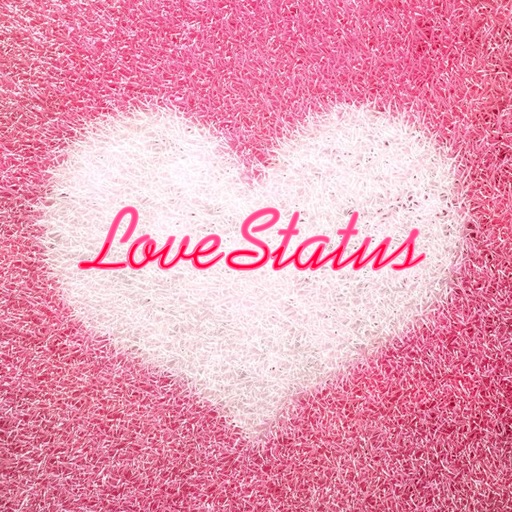 Love Status Spotify Collection