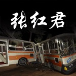 孙美琪疑案张红君中国版