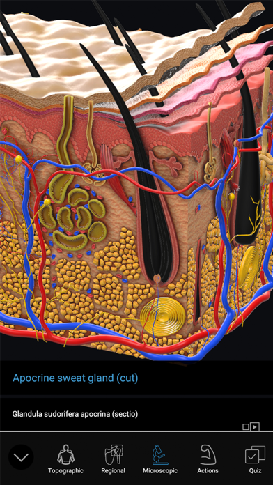 How to cancel & delete 3D Organon Anatomy Enterprise from iphone & ipad 1