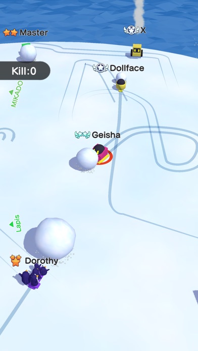 Snowball.io™ screenshot1
