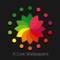 Thousands of attractive wallpapers and live wallpapers created purposely for iPhone