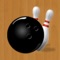 PinPal is a bowling scorekeeping application designed to provide bowlers with detailed statistics to help improve their average