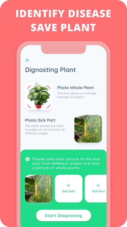 PlantIn: Plant Identifier screenshot-5