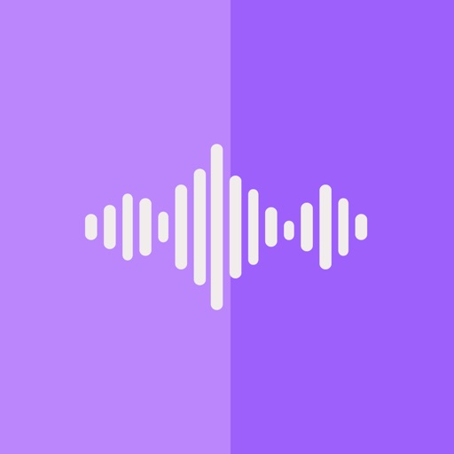 Watch Audio Recorder icon