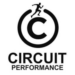Circuit Performance
