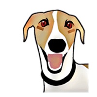 English Whippet Dog Sticker
