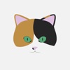 Lisa the Calico Cat Stickers