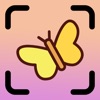 Butterfly Identifier (NA)