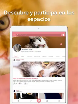 Screenshot 5 Midoog - La app de tu mascota iphone