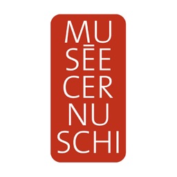 Cernuschi Museum Collection