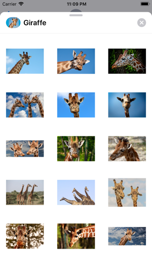 Lotsa Giraffe Stickers(圖2)-速報App