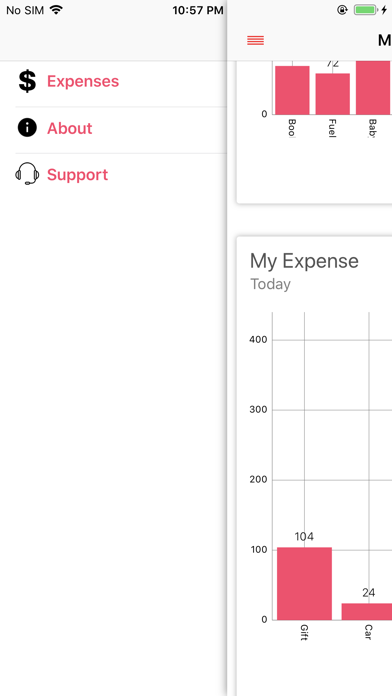 Daily Expense Record screenshot 3