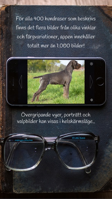 Världens Hundraser 2.0 screenshot 4