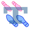 tototan - TangoLeaderPlus アートワーク