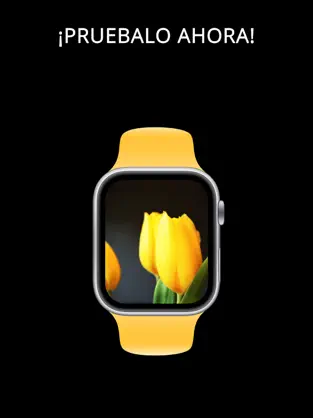 Captura de Pantalla 2 Caras de reloj iphone