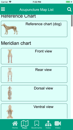 Canine Acupuncture Meridian Chart