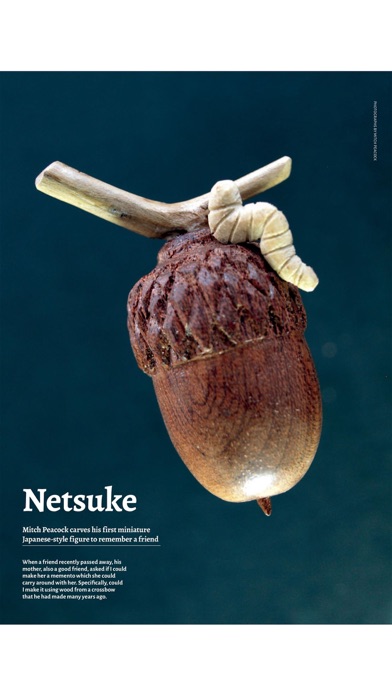 Woodcarving Magazine screenshot1