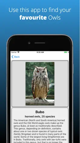 Game screenshot Owl Dictionary mod apk