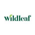 Wildleaf Salads