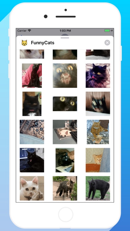 Talkitty - Cats Stickers screenshot-9