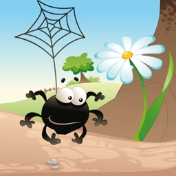 RPIDER ROOZ