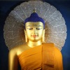 汉译巴利三藏--传承佛陀的教导