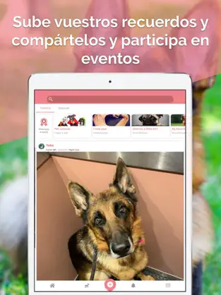 Imágen 2 Midoog - La app de tu mascota iphone