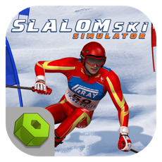 Activities of Slalom Ski Simulator