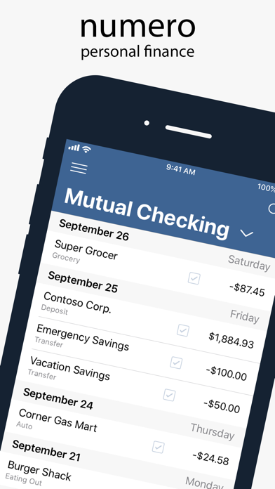 How to cancel & delete Numero: Personal Finance from iphone & ipad 1