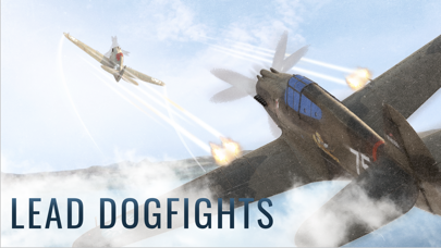 Warplanes: Free for All Combat screenshot 2