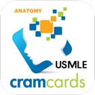 USMLE Anatomy Cram Cards