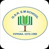 GSR EM School