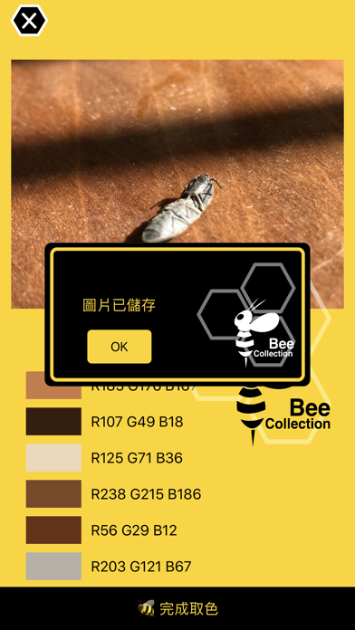 Bee - Color Pick & collection screenshot 4