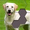 Hexa Jigsaw Puzzle ® is a super addictive game that challenges you to fit hexa pieces into the board and complete images