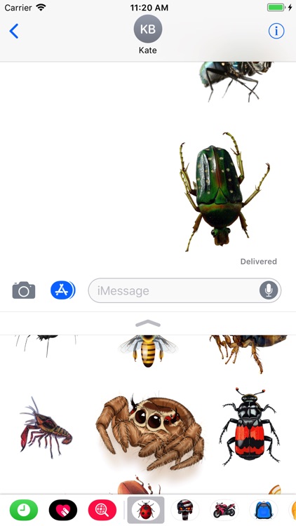 Great Insects Stickers