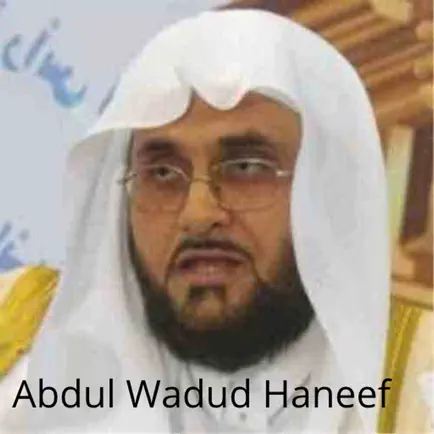 Abdul Wadud Haneef Quran 2021 Читы