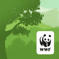 WWF Forests app funktioniert nicht? Probleme und Störung