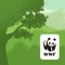 WWF Forests