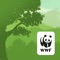 WWF Forests takes you on an immersive tour of temperate forests through an augmented reality experience