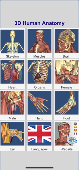 3D Anatomy(圖4)-速報App