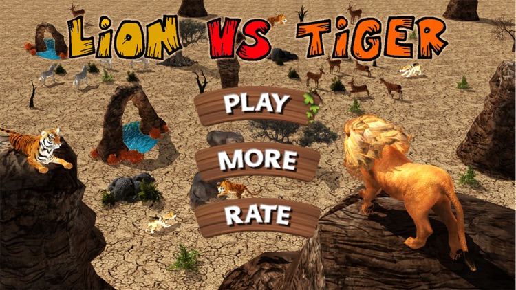 Lion Vs Tiger