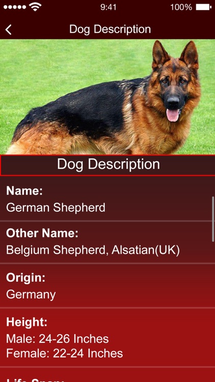 Identify Dog Breeds