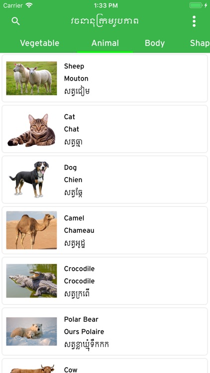 Khmer Picture Dictionary screenshot-3